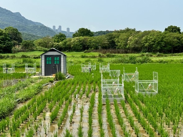 Introduction to Agricultural Net-Zero Carbon Technology and Management Innovation Research Center