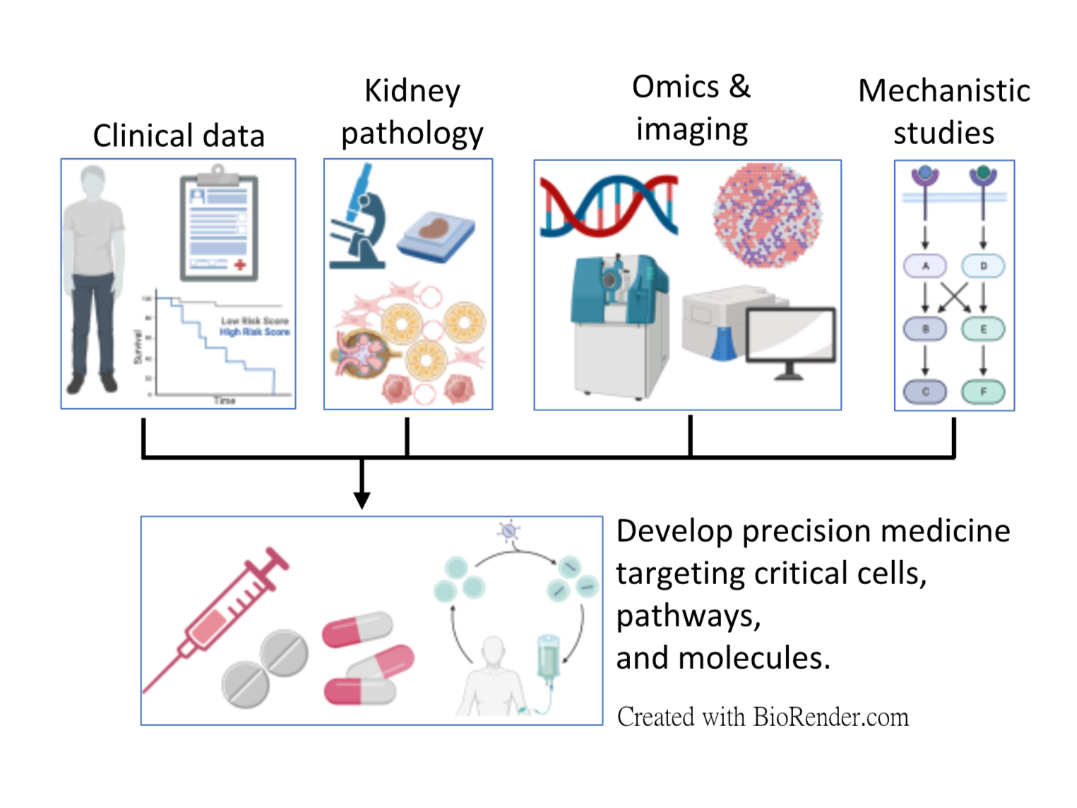 Targeting Kidney Pericytes as a Precision Medicine for Kidney Disease