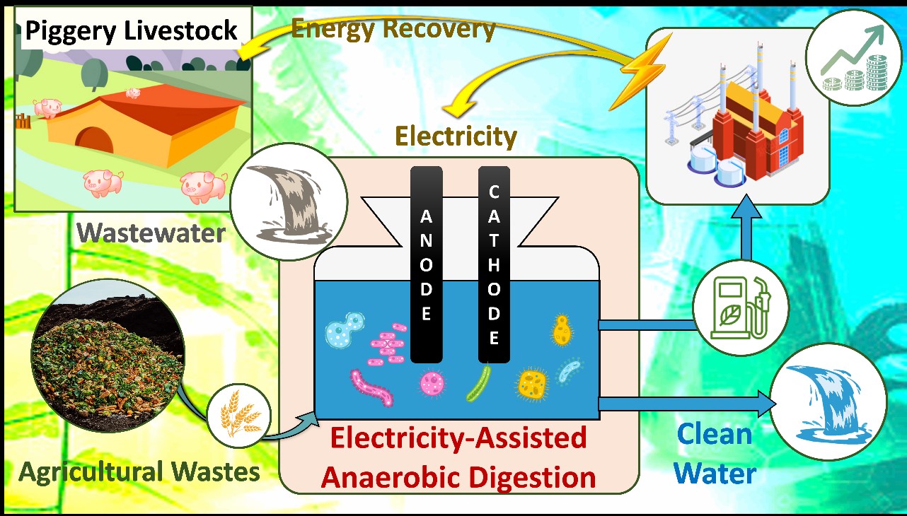 Enhanced biomethane production with a low carbon footprint via anaerobic co-digestion of swine wastewater with rice husk